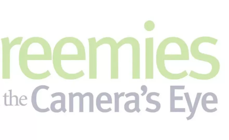 Preemies in the Camera's Eye