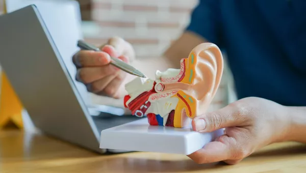 Doctor explaining ear tubes using diagram model